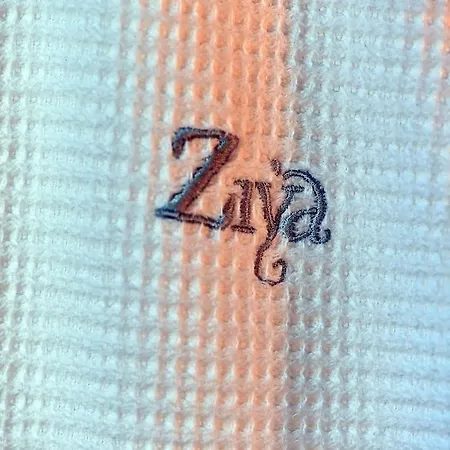 Отель Ziya