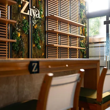 Hotel Ziya