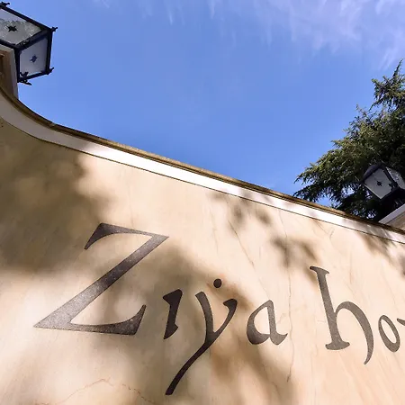 Ziya Podgorica