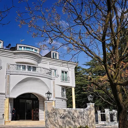 Ziya Hotel