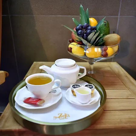 지야 포드고리차